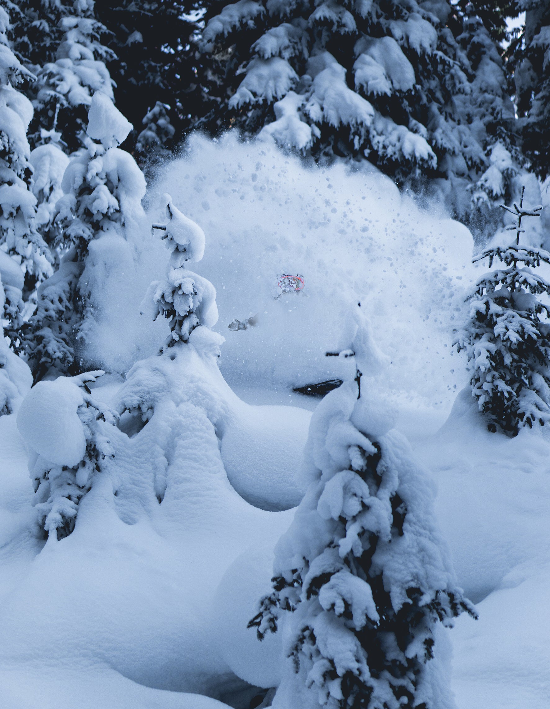 Snowboarder im staubenden Pulverschnee 