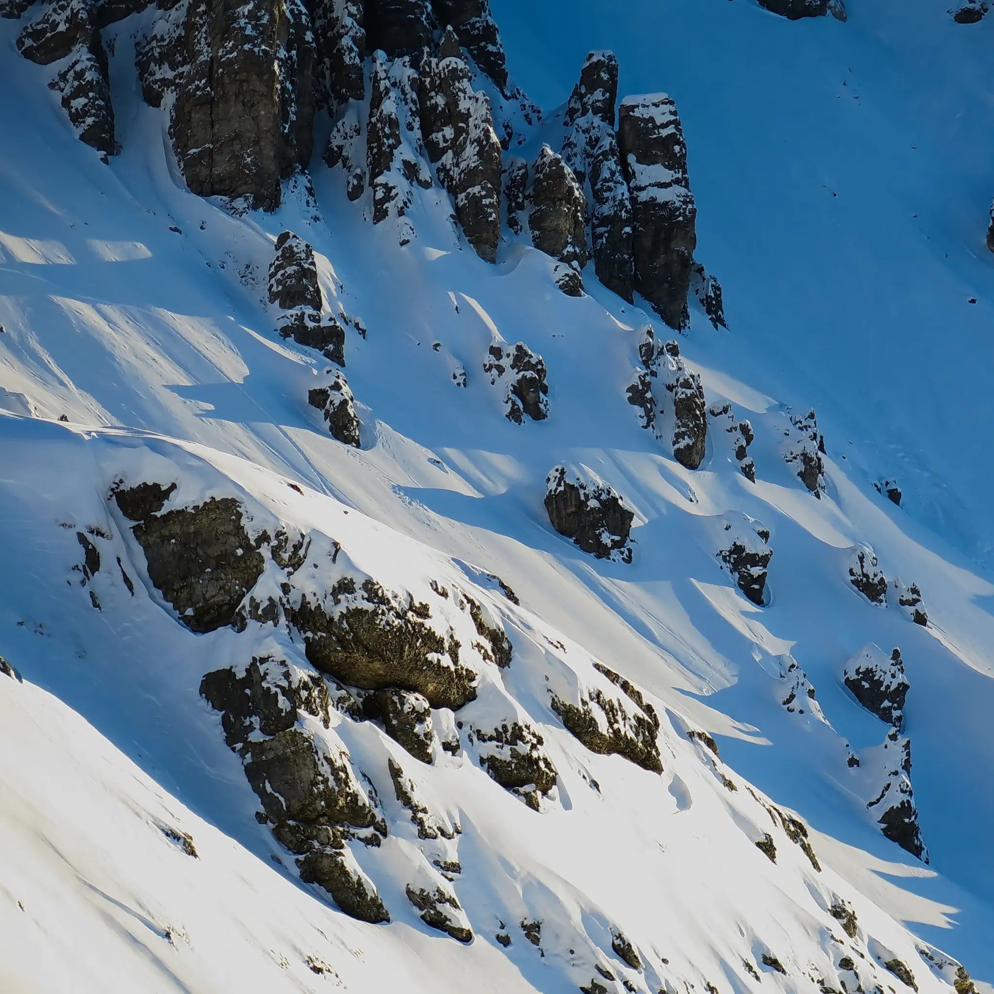 Kalkkoegel.webp